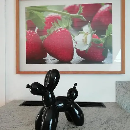 Apartment Charmante *